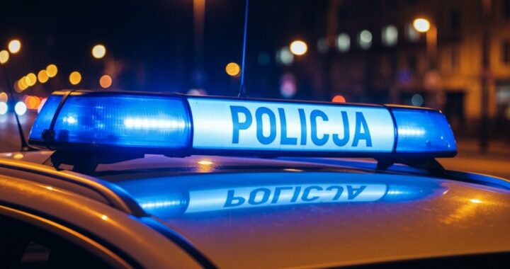 dzie---trze--wo--ci--wybierz-odpowiedzialno-----na-auto-1354